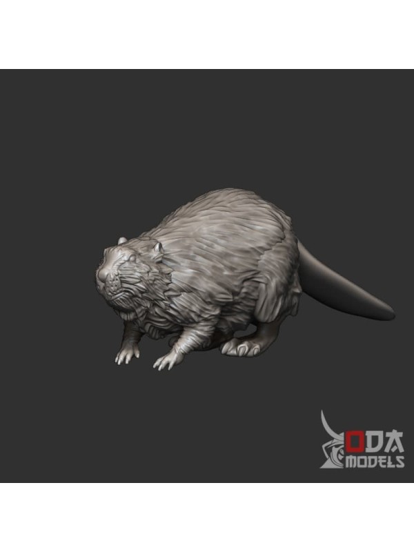 Beaver