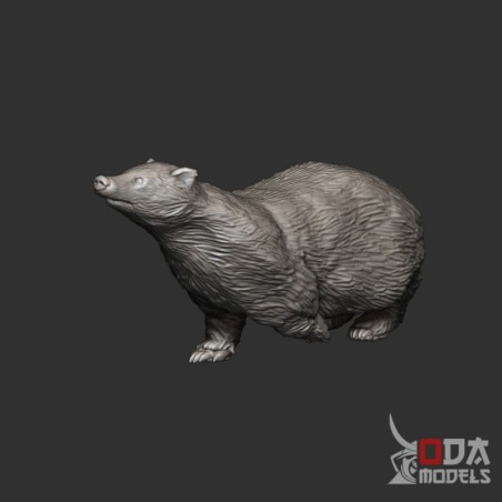 Running badger