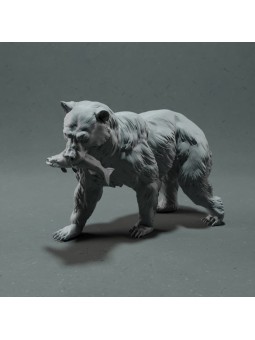 Grizzly bear with fish