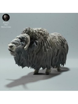 Llamada de Buey Almizclero