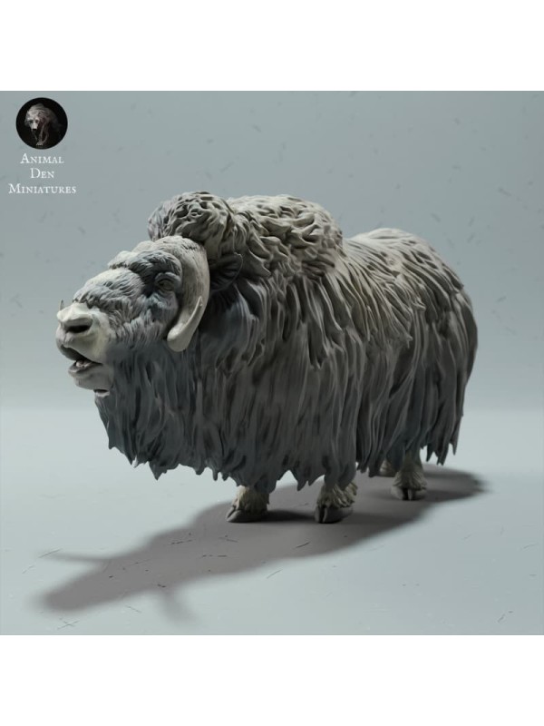 Llamada de Buey Almizclero