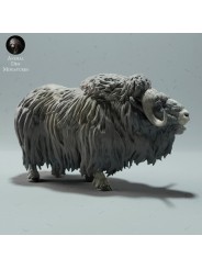 Llamada de Buey Almizclero