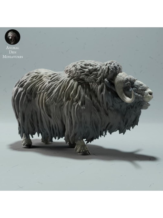 Llamada de Buey Almizclero