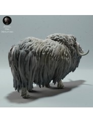 Llamada de Buey Almizclero