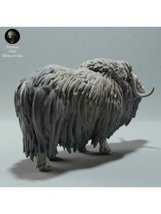 Llamada de Buey Almizclero