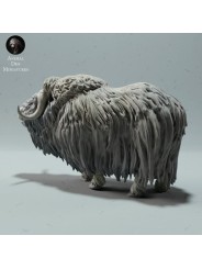 Llamada de Buey Almizclero