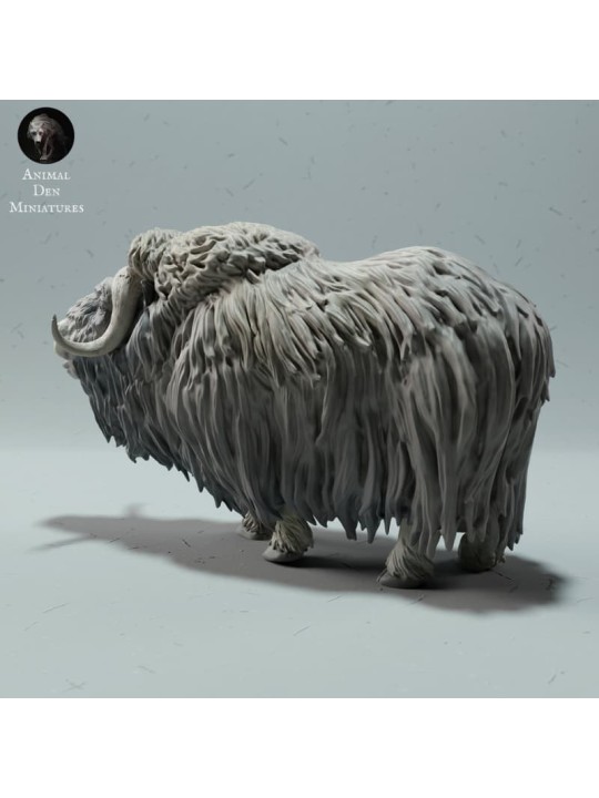 Llamada de Buey Almizclero