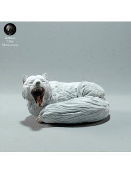 Zorro Artico acostado