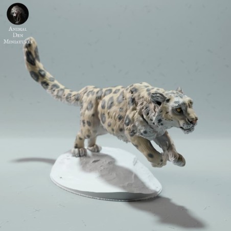 Leopardo de las nieves corriendo