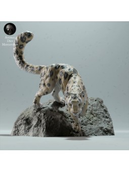 Snow Leopard in rock