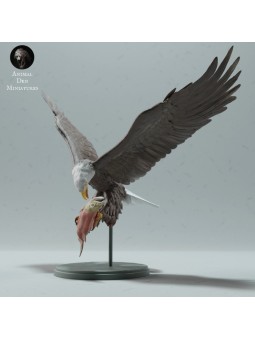 Aguila calva pescando