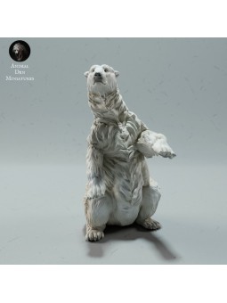 Polar bear sitting