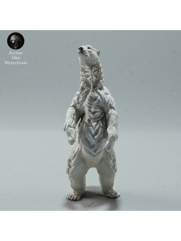 Standing Polar bear