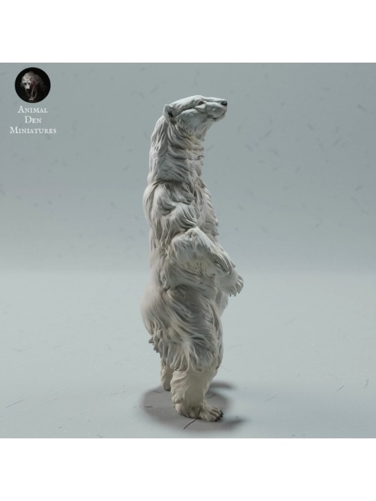Standing Polar bear