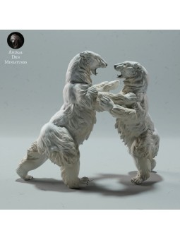 Bears fighting
