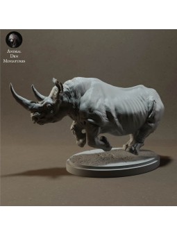 Black rhino charging