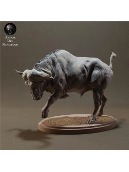 Cape buffalo charging