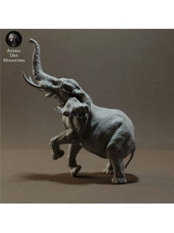 Elefante africano de pie