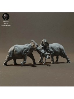 Elefantes africanos luchando