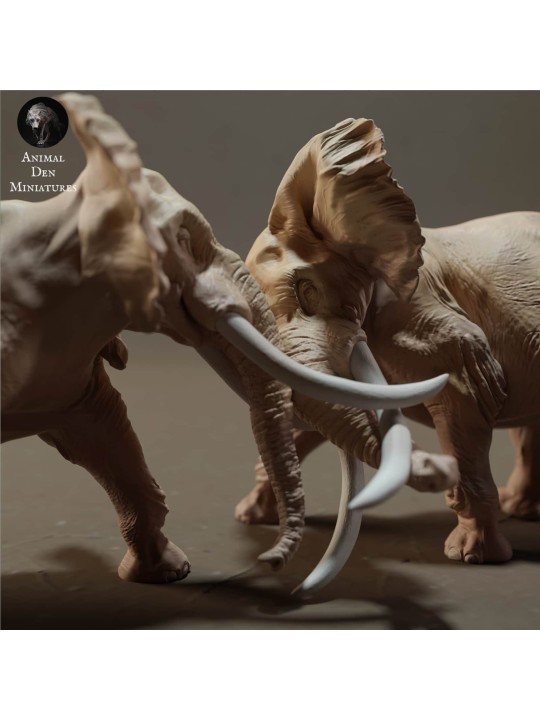 Elefantes africanos luchando