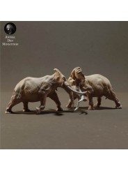 Elefantes africanos luchando