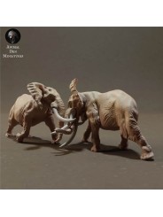 African elephant fighting