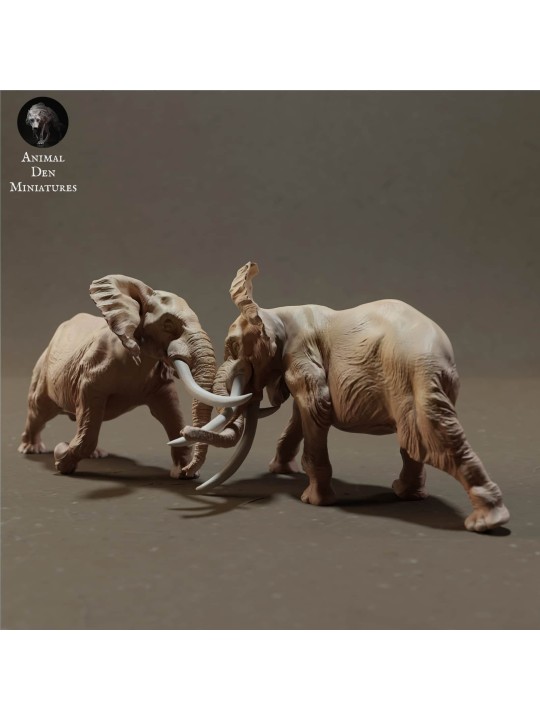 Elefantes africanos luchando