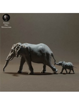 Elefante africano con cría