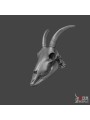 Goat skull