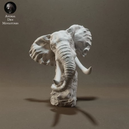 Elephant Bust