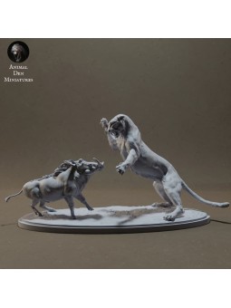 Leopard hunting warthog