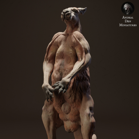 Canguro rojo en alerta