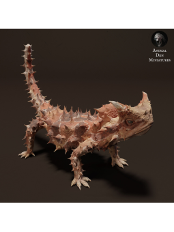 Thorny devil on alert