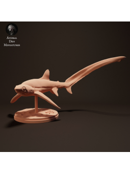 Tiburón trillador de ojos grandes nadando