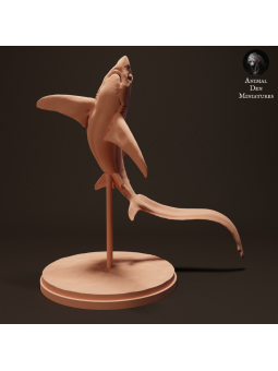 Tiburón trillador de ojos grandes subiendo