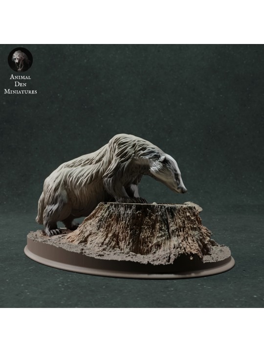 Tejón europeo en tocón