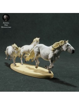 Caballos de camarga corriendo