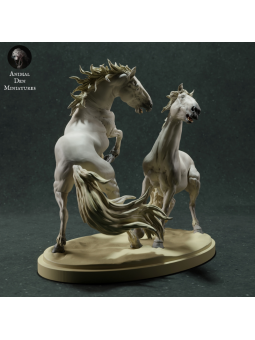 Caballos de camarga luchando