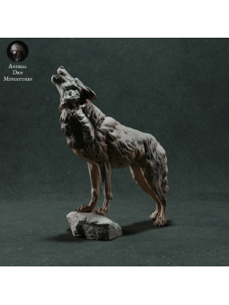 Iberian wolf howling