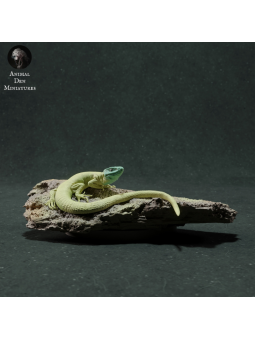 Lagarto verde europeo