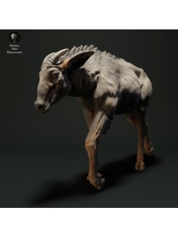 Capricornis caminando