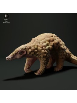 Pangolin walking