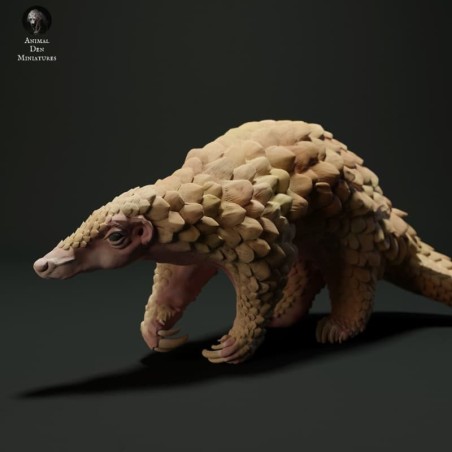 Pangolin walking