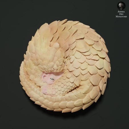 Coiled pangolin