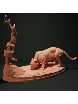 Burmese and tiger python