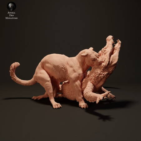 Jaguar hunting caiman