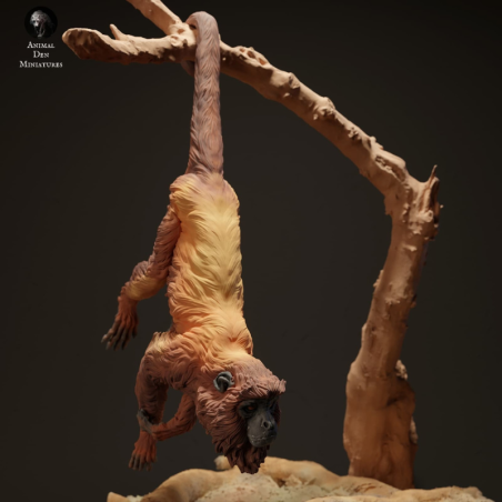 Hanging red howler monkey