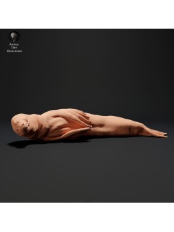 sea ​​lion lying down