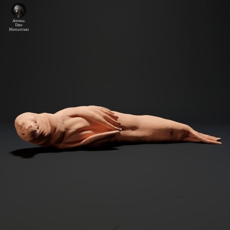 León marino tumbado