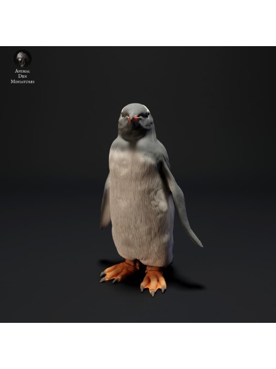 Pingüino Gentoo